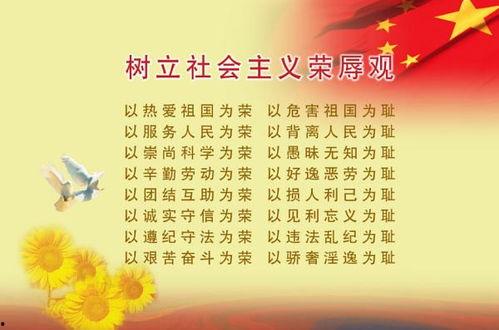 今日娱乐圈吃瓜有感